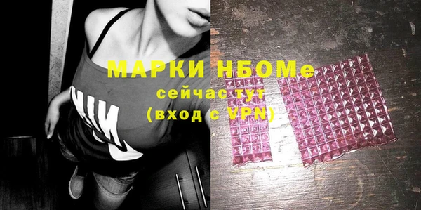 мдпв Бородино