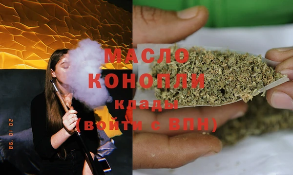мдпв Бородино