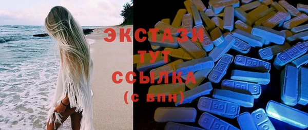 мдпв Бородино