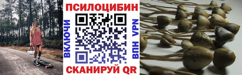 Галлюциногенные грибы ЛСД  Ейск 